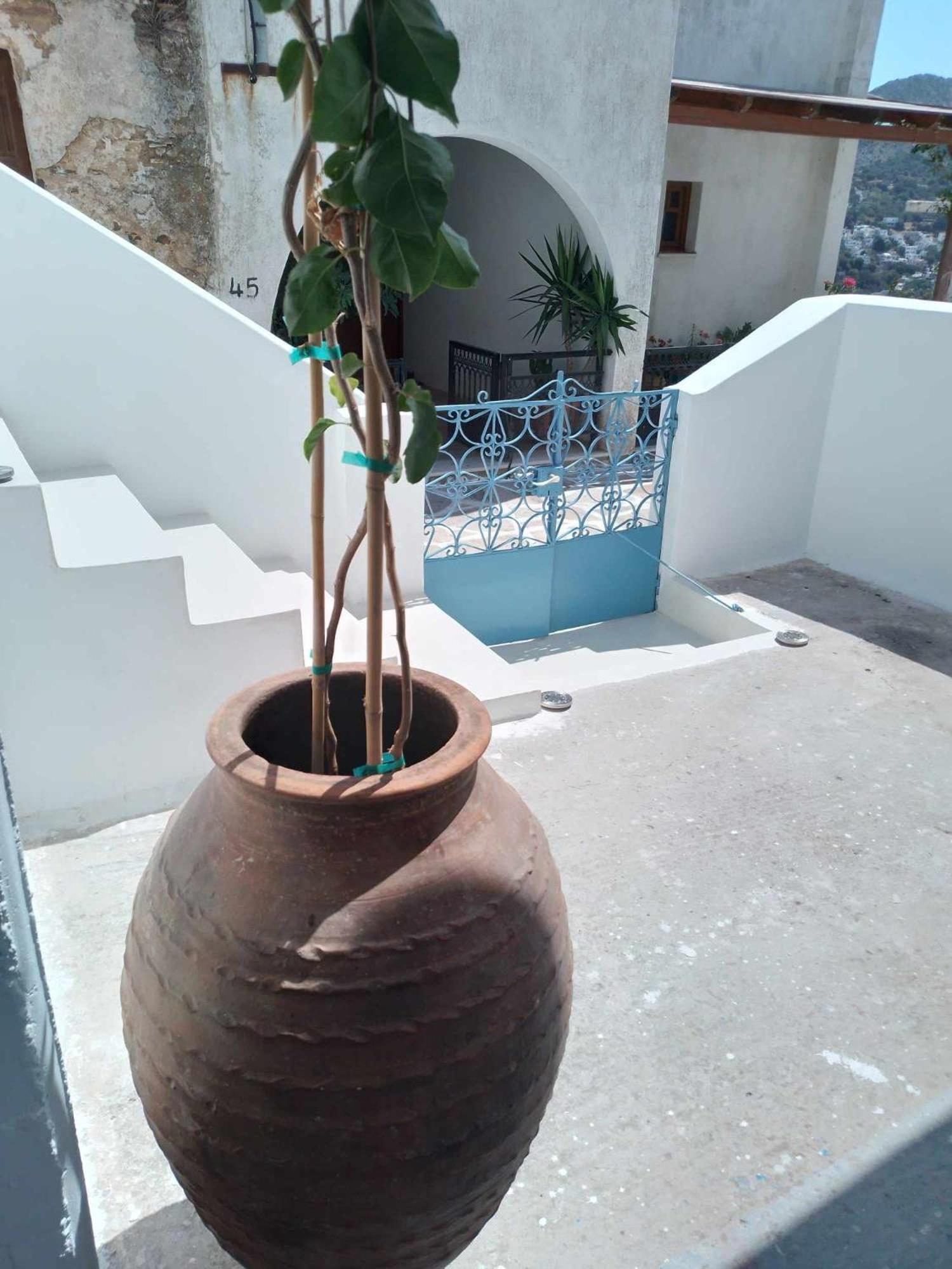 Villa Blue House Koronos Esterno foto